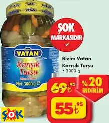 BİZİM VATAN KARIŞIK TURŞU 3000 G